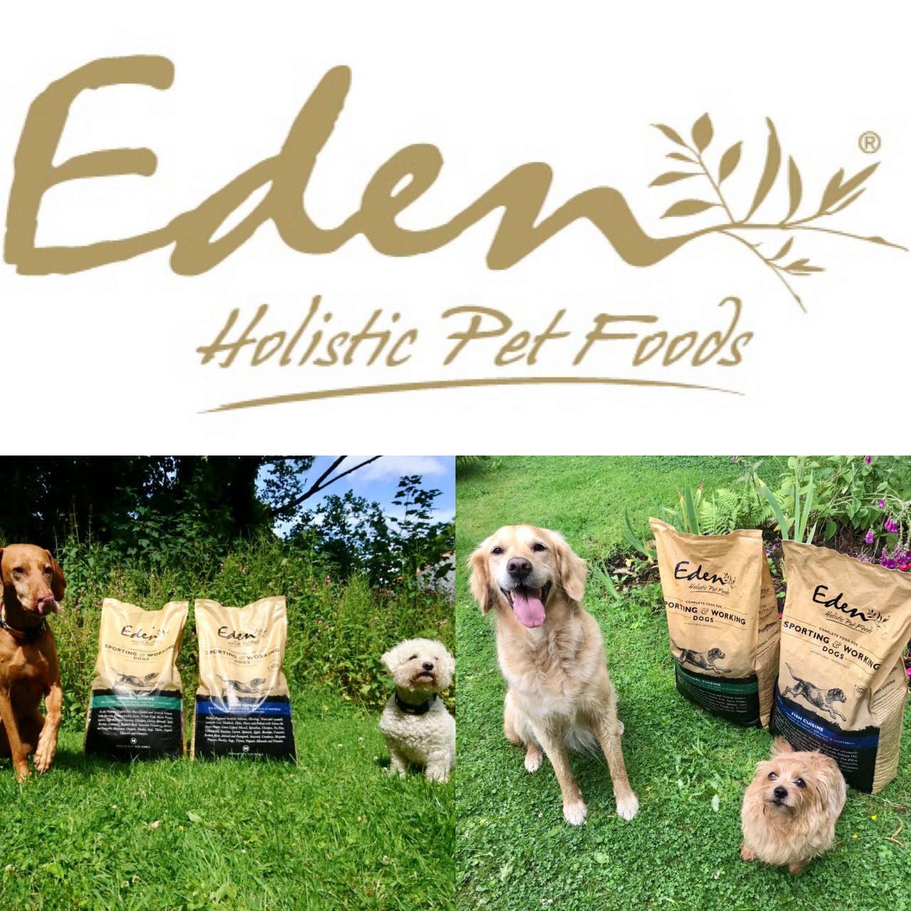 Eden Pet Foods